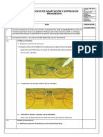 Formato Proceso de Adaptacion y Entrega de Progresivos