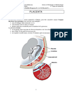 PLACENTA