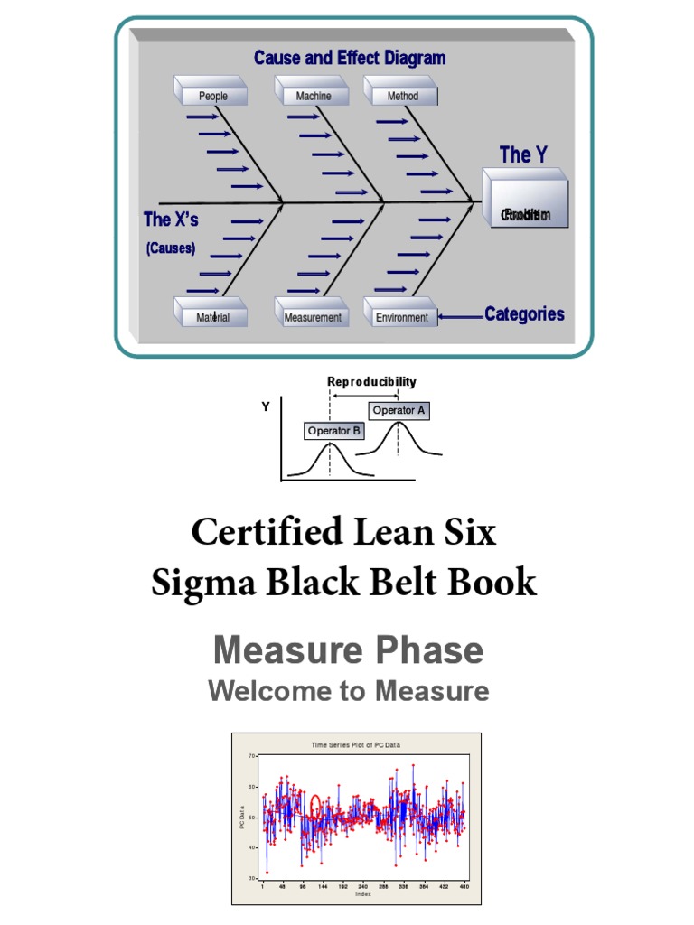Measure - Phase of The DMAIC Methodology | PDF | Brainstorming | Six Sigma