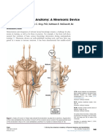 Learning Brainstem Anatomy A Mnemonic Device