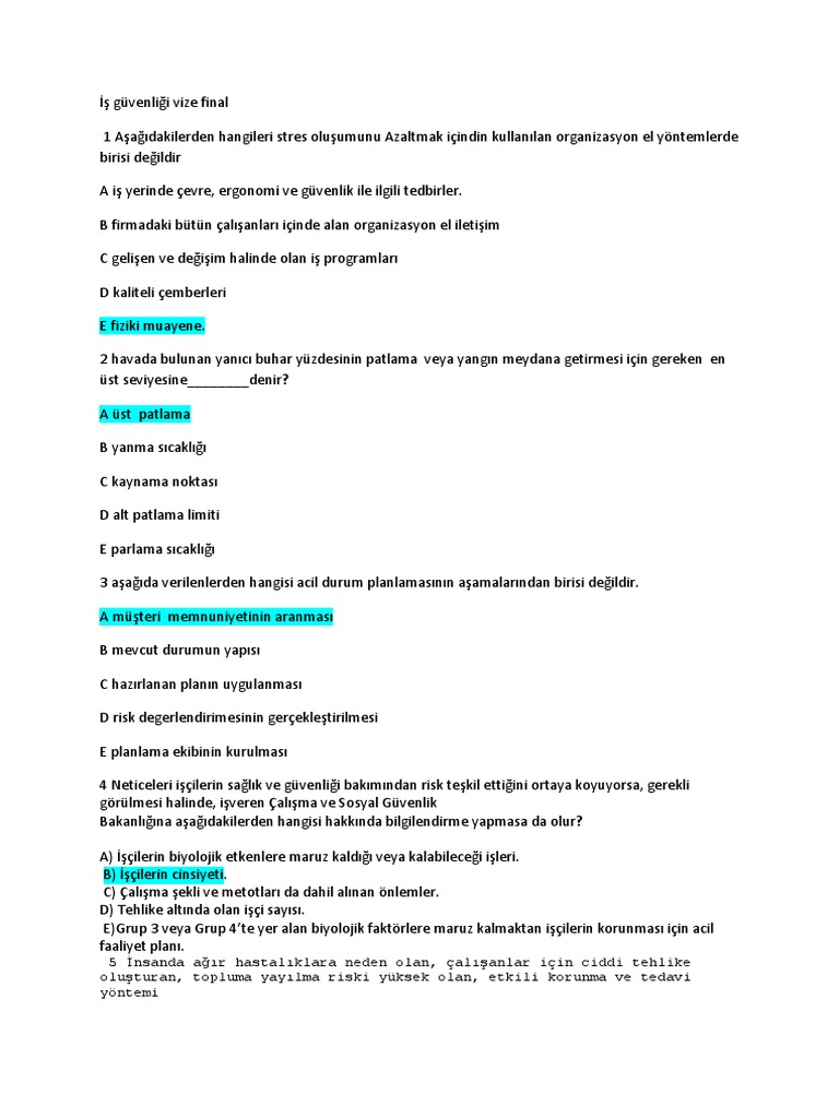 Is Guvenligi Vize Final Pdf