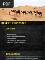 Types and Importance of Forest Ecosystems | PDF | Forests | Trees