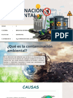 Contaminacion Ambiental