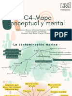 Mapa Conceptual y Mental