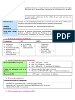 Diabetes Mellitus HB