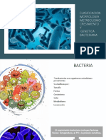 CLASIFICACION Bacteriana