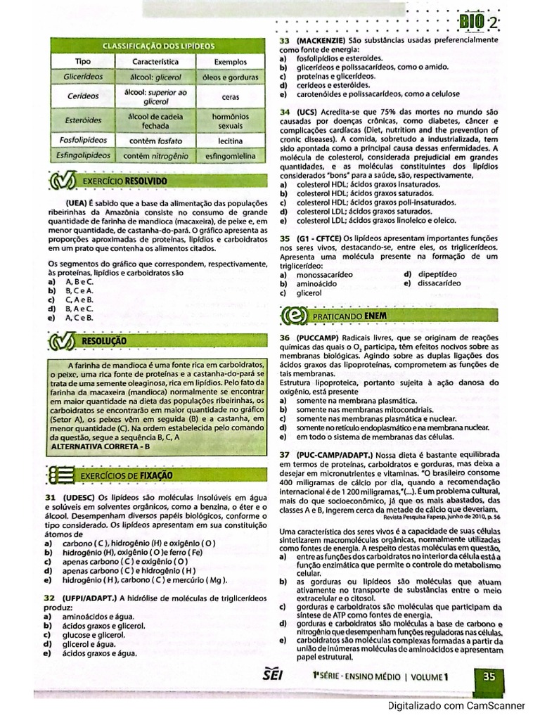 Lipidios Exercícios | PDF