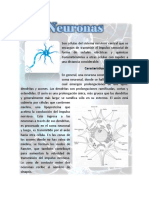 Neuronas 