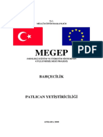 Patlıcan Yetiştiriciliği