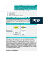 Aula 2 Imuno, Imunidade Inata, Adaptativa, Anticorpos e Hematopoiese