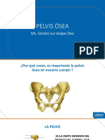 Pelvis Ósea PDF