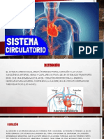 Sistema Circulatorio PARAMÉDICOS