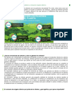 Los árboles generan monóxido de carbono y consumen oxígeno atómico