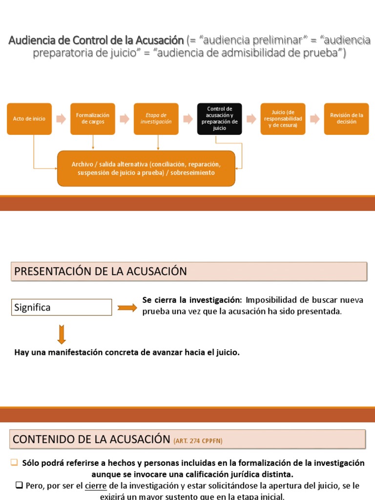 Audiencia de Control de La Acusación 2022 | PDF | Queja | Gobierno