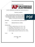 Trabajo Academico - Derecho Procesal Laboral