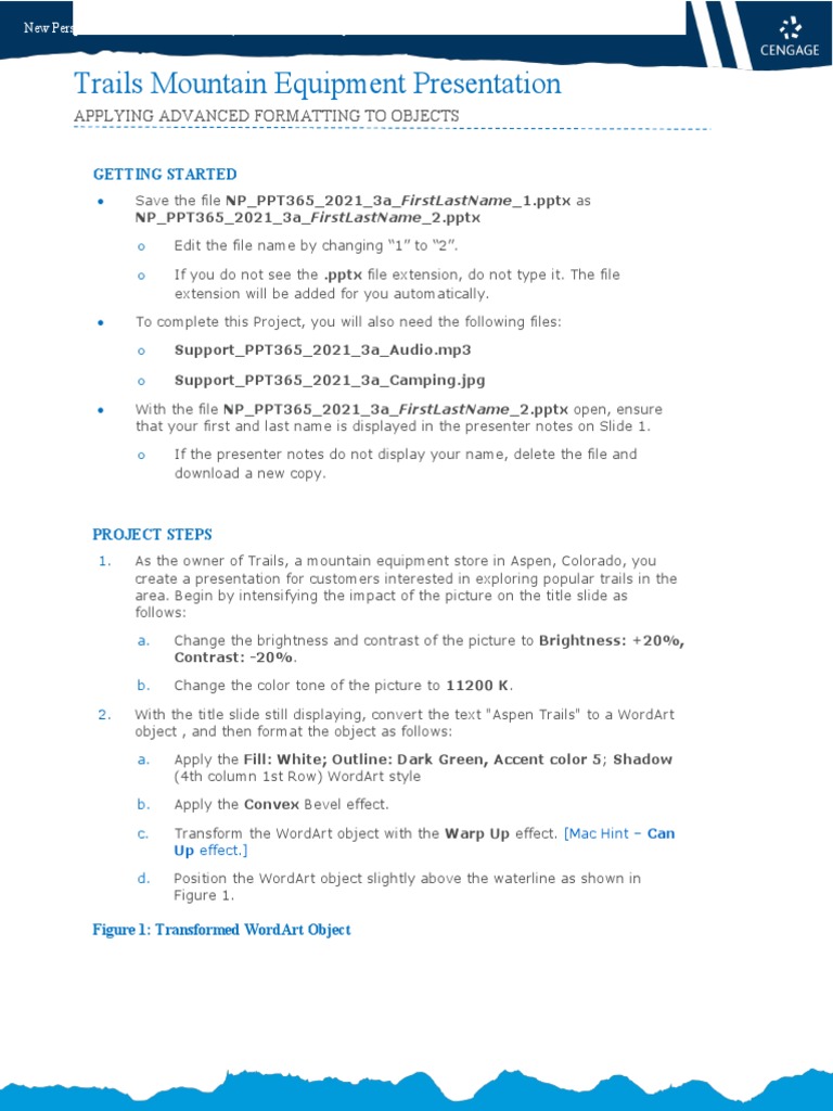 Instructions NP PPT365 2021 3a | PDF | Chart | Microsoft Power Point