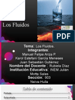 Los Fluidos