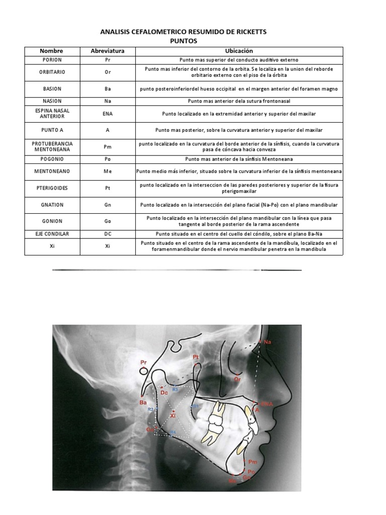 Análisis Cefalométrico de Ricketts | PDF | Cabeza y cuello humanos ...