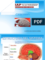 Cerebroo