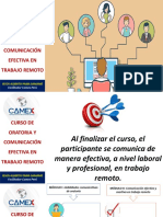 CAMEX1 Sesión 5 Curso Oratoria y Comunicación Efectiva en Trabajo Remoto Marzo 2021 27-03.pptx (3) PRACTICA
