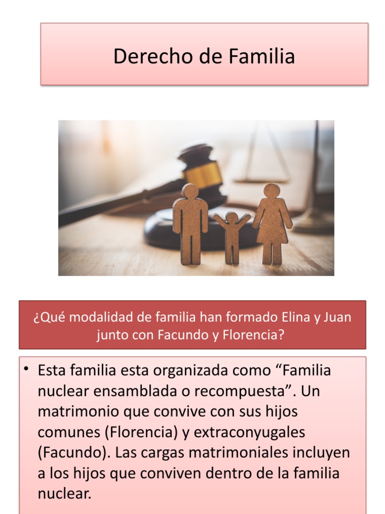 Derecho de Familia Power Point N1 | PDF
