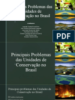 Principais Problemas Das UC's No Brasil