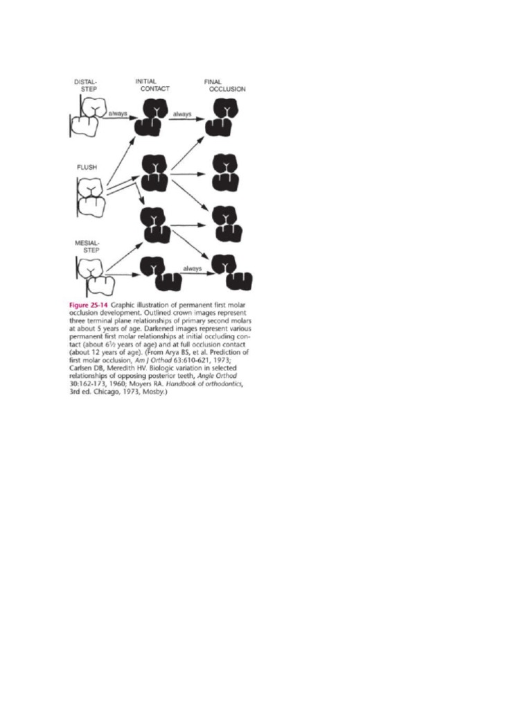 Flush Terminal Plane PDF