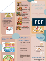 Tríptico Sobre Una Alimentación Saludable