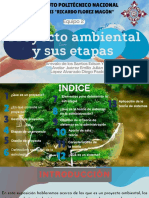 Proyecto Ambiental y Sus Etapas