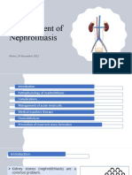 MM Nefrolitiasis