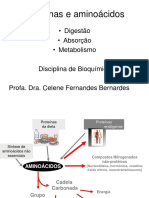 digestão-proteínas