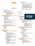 Anatomy and Physiology of The Skeletal System