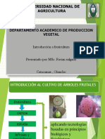 I-Parcial Frutales PDF