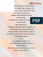 Diagrama Proteínas y Aminoácidos