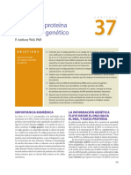 Cap 37 Síntesis de proteína y el código genético Páginas desdeHarper_-_Bioquimica_Ilustrada_29Ed-2