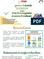 1.4 Uso de Microorganismos en Acciones de Remediacion