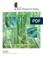 International Rice Research Notes Vol.25 No.2