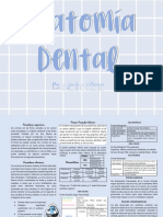Anatomía Dental Trípticos