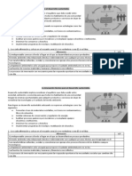 Actividad - Desarrollo Sustentable