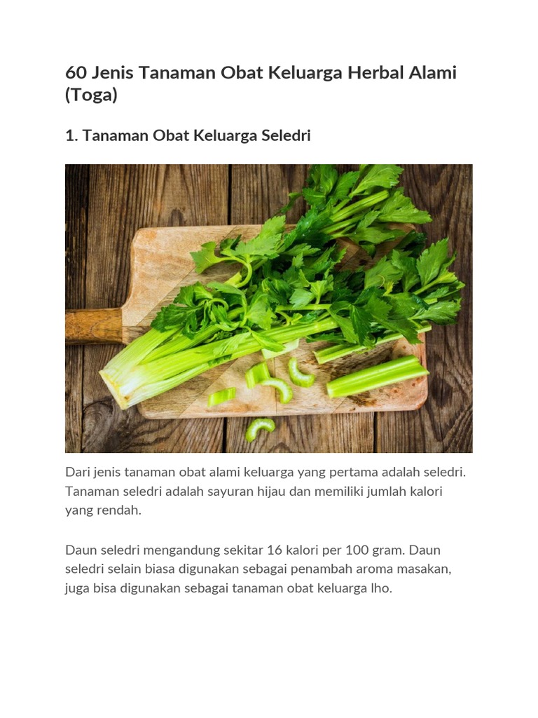 60 Jenis Tanaman Obat Keluarga Herbal Alami Pdf