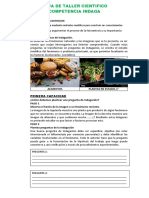 Eda 3 - Semana 14 - Ficha de Trabajo de Indagacion de La Nutricion y Funcion. 2023