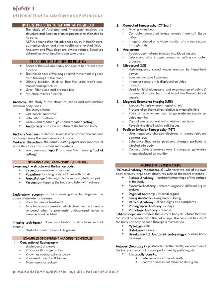 INTRODUCTION OF ANATOMY AND PHYSIOLOGY PDF visual data 2