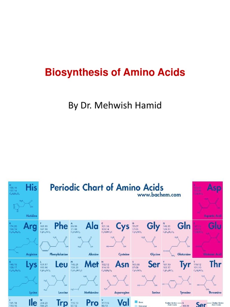 Biosynthesis of Amino Acids | PDF