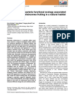 Changes in Soil Bacteria Functional Ecology Associated With Morchella Rufobrunnea Fruiting in A Natural Habitat