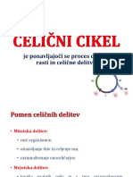 9 Celični Cikel 2