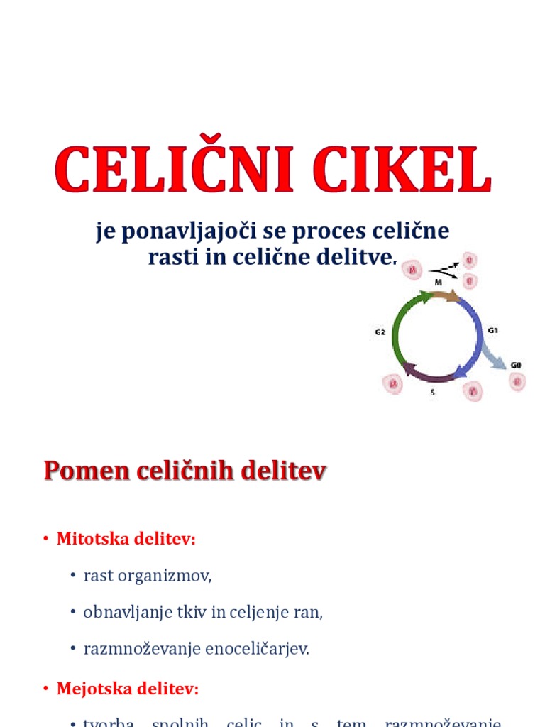 9 Celični Cikel 2 PDF
