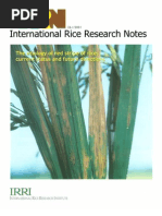 Download International Rice Research Notes Vol26 No1 by ccquintos SN66900640 doc pdf