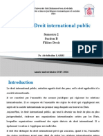 Cour Droit International Public
