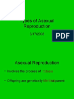 Types of Asexual Reproduction