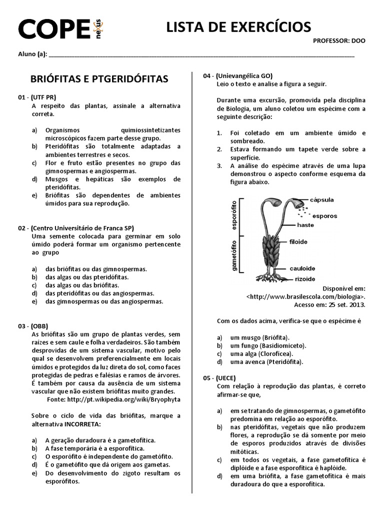 Exercícios sobre Briófitas e Pteridófitas | PDF | Plantas | Musgo